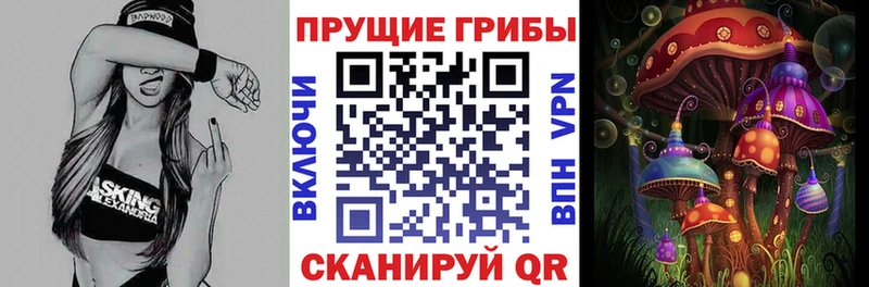 Псилоцибиновые грибы Cubensis Шиханы